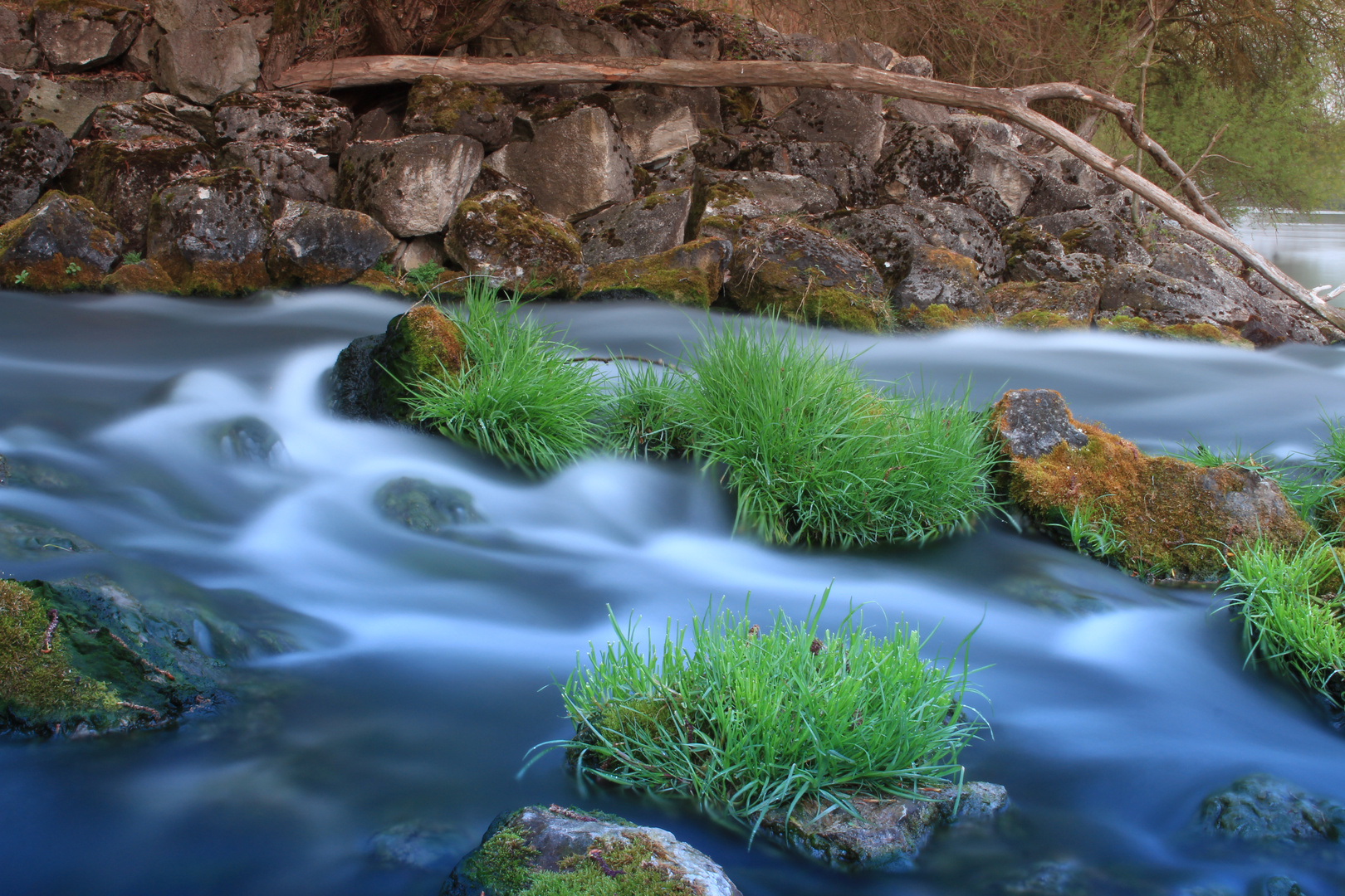 Mystic Nature