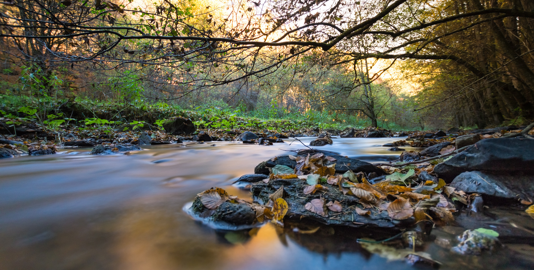 Mystic River