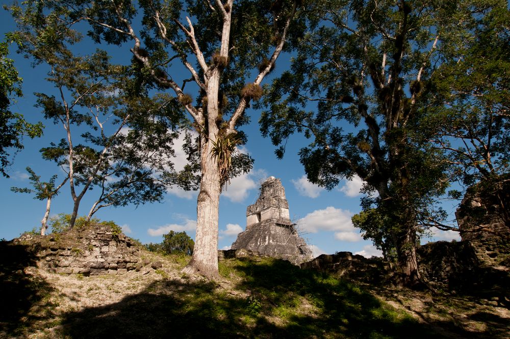 Mystic Tikal