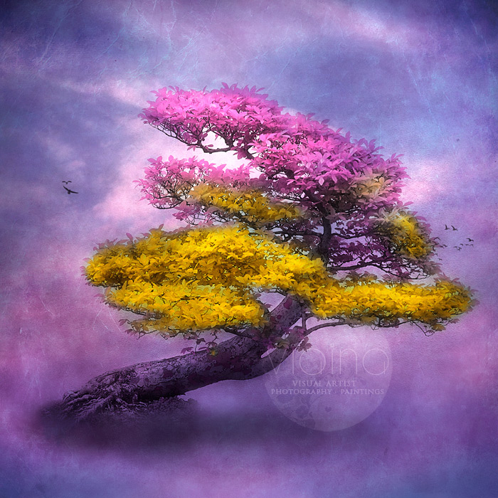 MYSTIC TREE