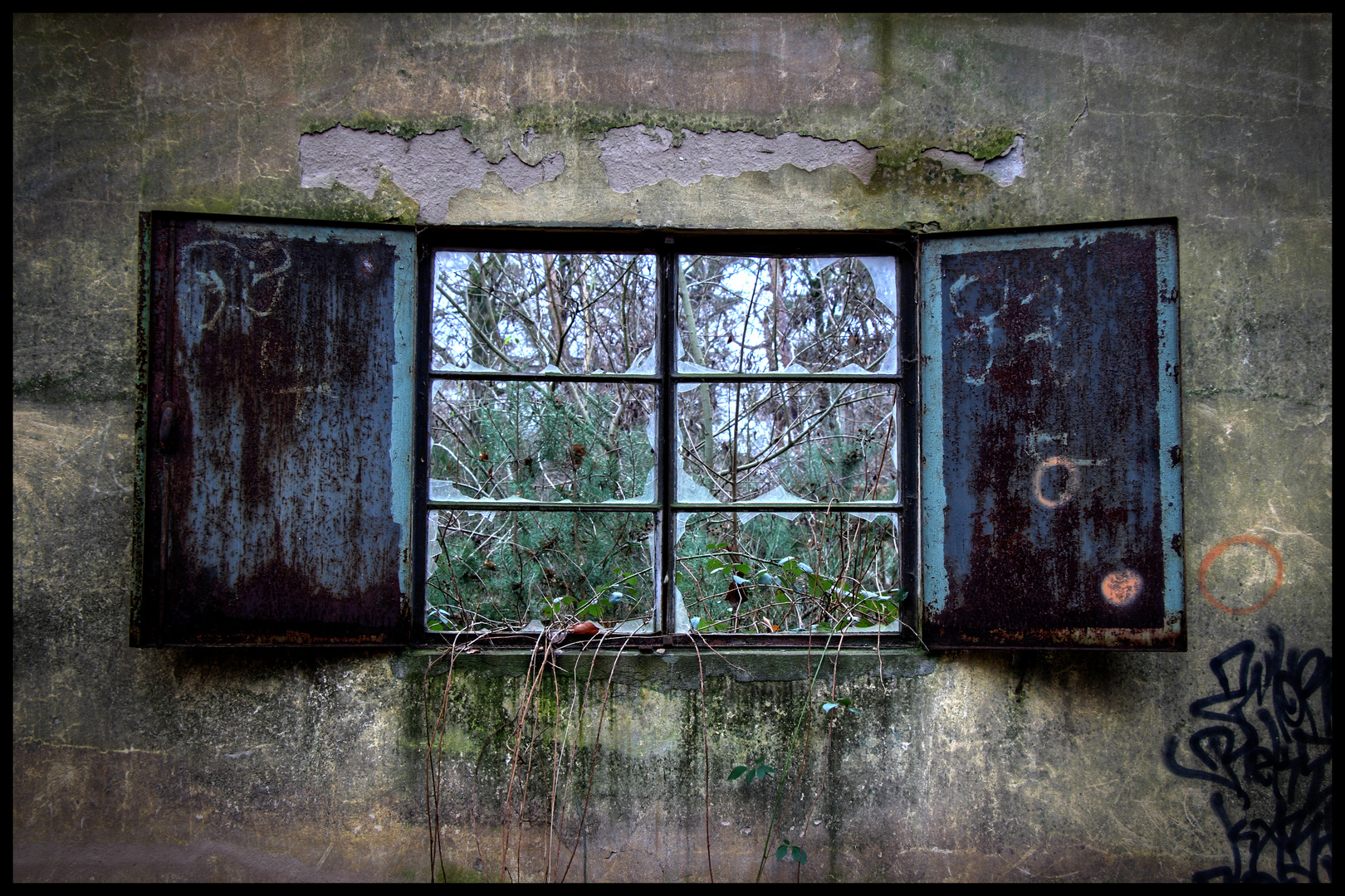 Mystic Window