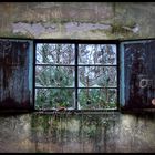 Mystic Window