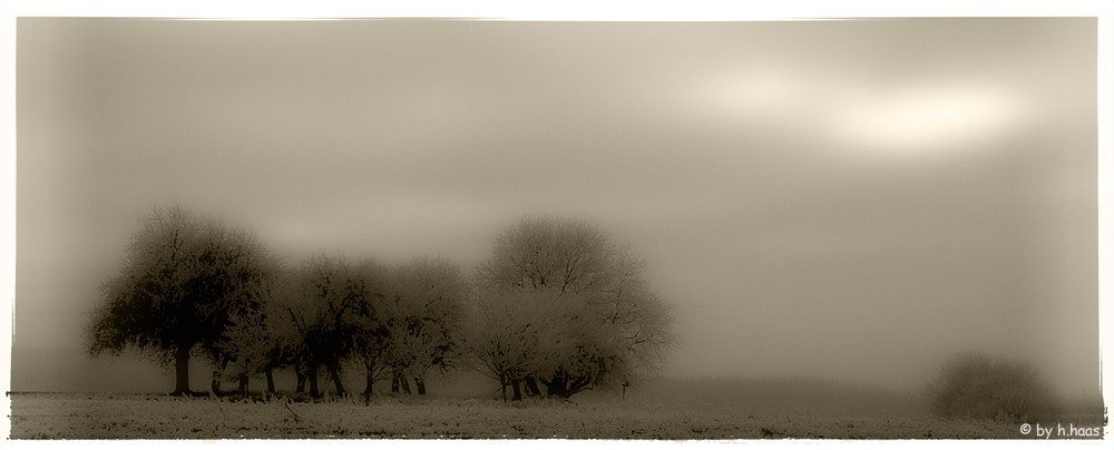 Mystic Winter Landscape