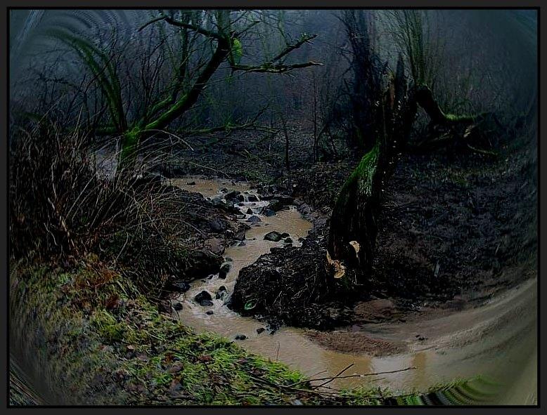 Mystic woods Foto & Bild | mystik,gothic, szene, menschen Bilder auf