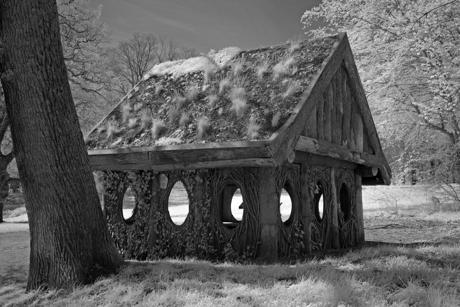 Mystical House