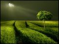 mystical landscapes 1 von Veronika Pinke