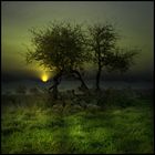 mystical landscapes 4