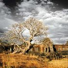 Mystical Laos