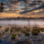 —— mystical moor ——