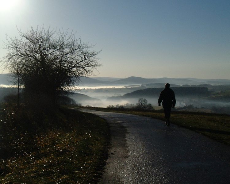 Mystical Morning