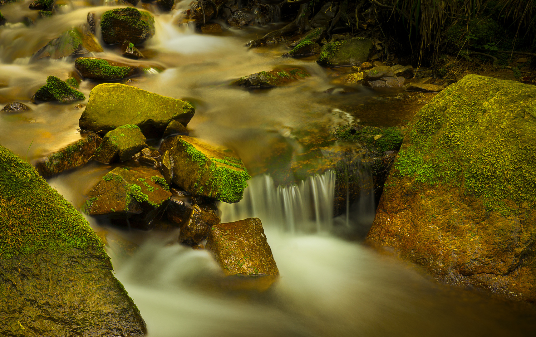 mystical Water