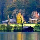 Mystig am Attersee