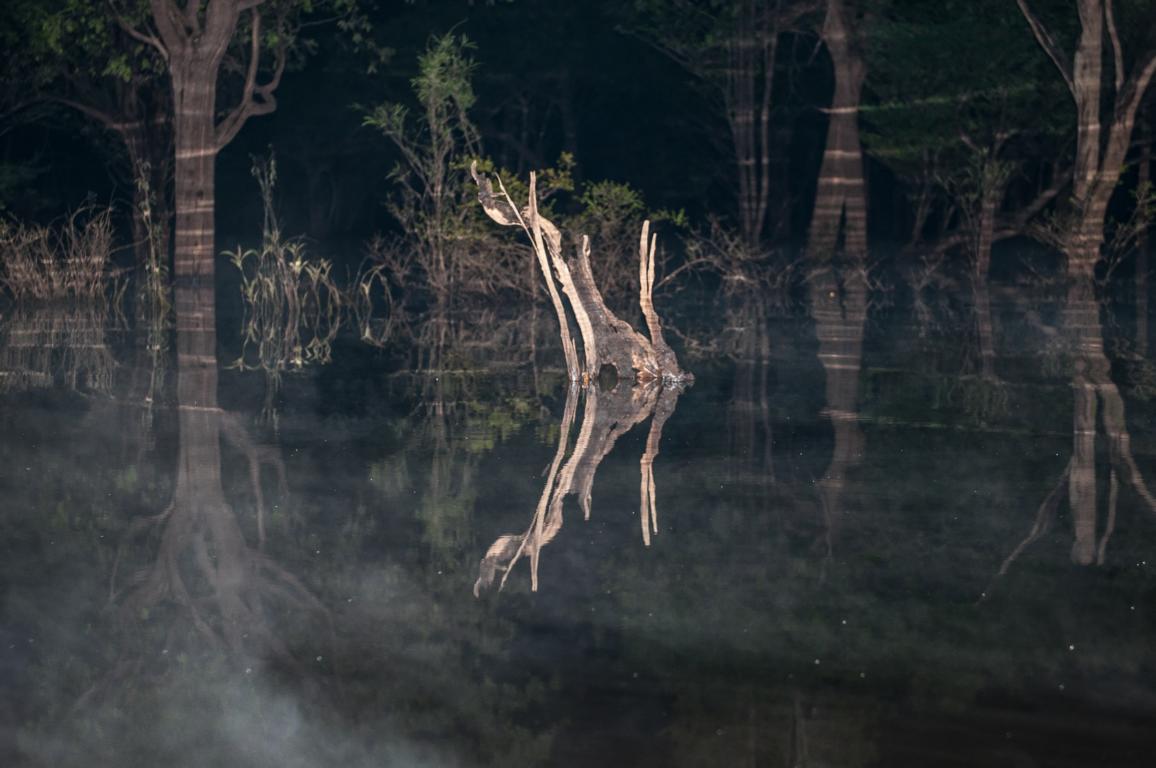 Mystik am Rio Negro