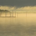 Mystik auf dem Malchiner See