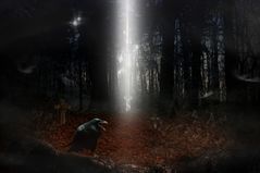 Mystikwald