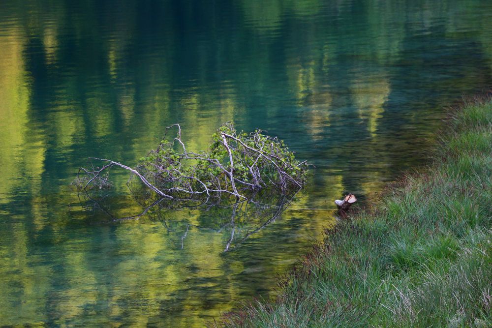 Mystisch am See 2