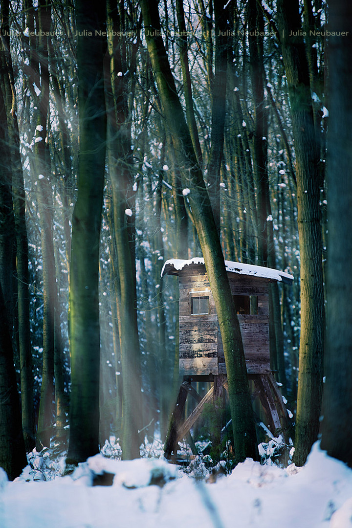 <em>mystisch</em> Foto &amp; Bild | landschaft, wald, schnee Bilder auf fotocommunity