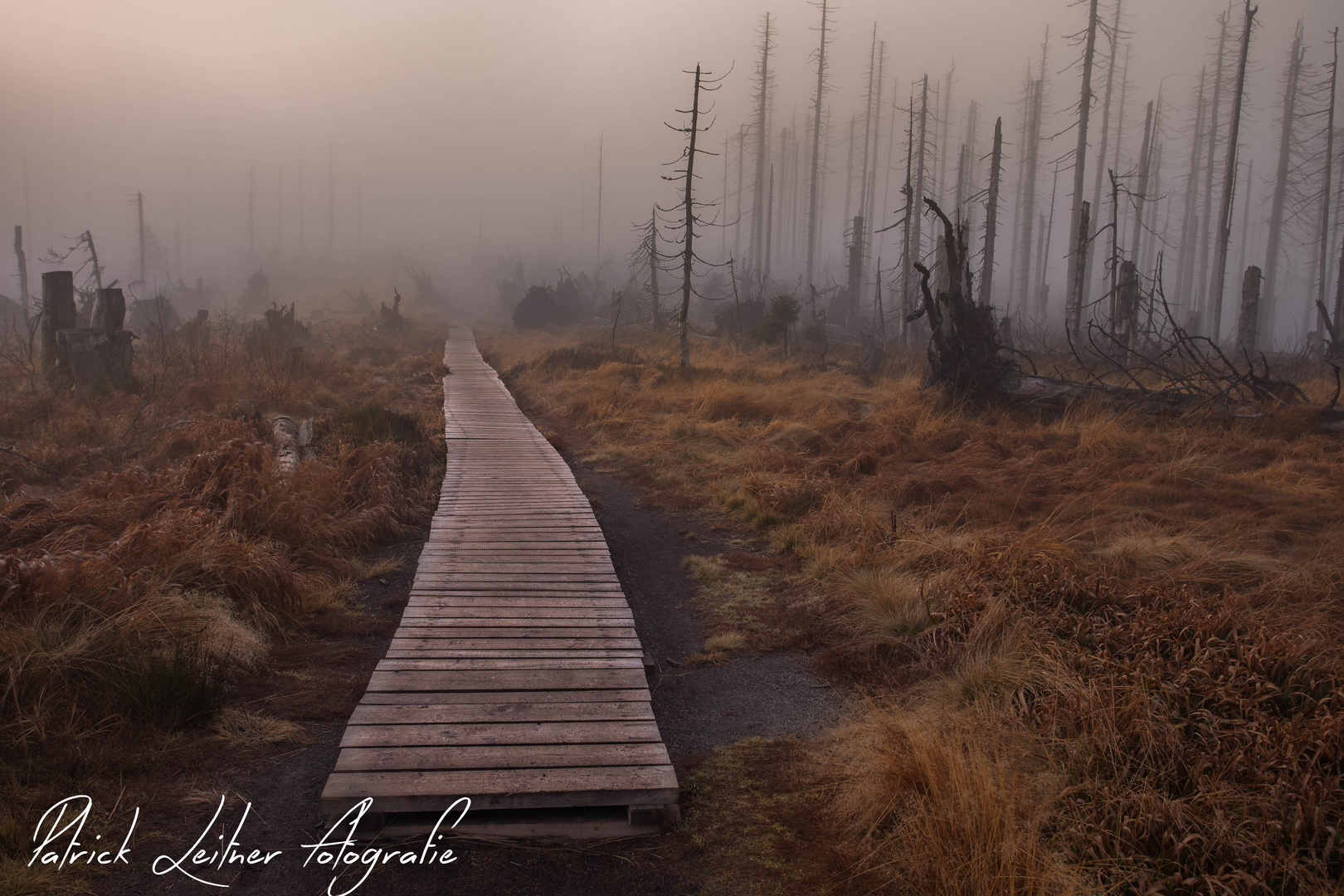 Mystisch im Bayerischen Wald