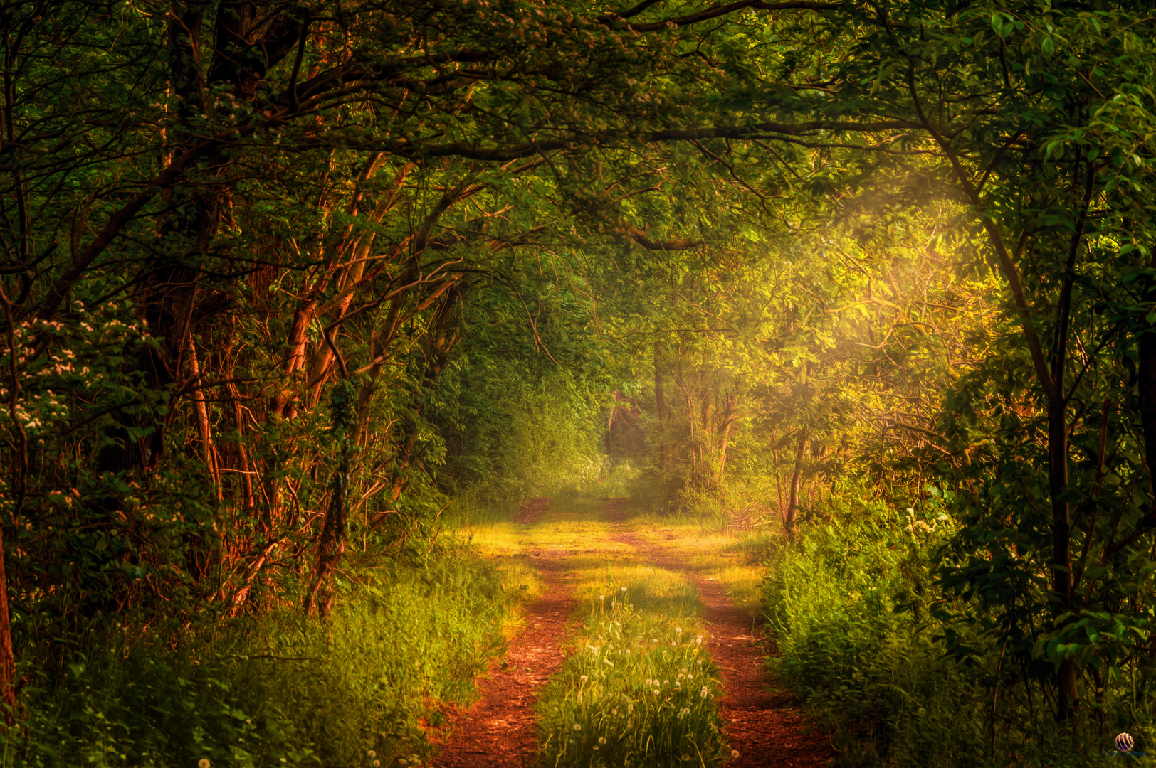 Mystisch... Wald, einsam, verlassen, zerfallen...