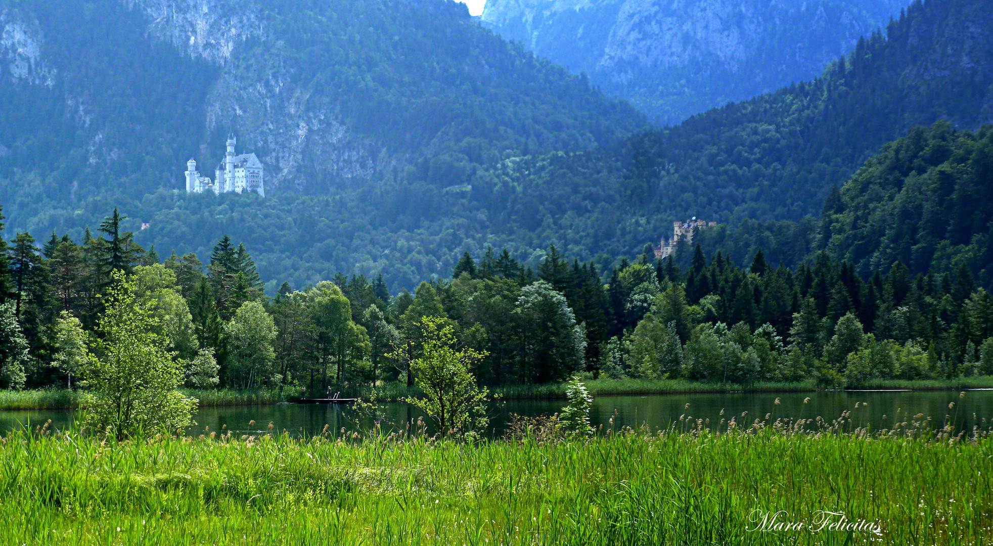 MYSTISCH.....am Schwansee unter den Königsschlössern