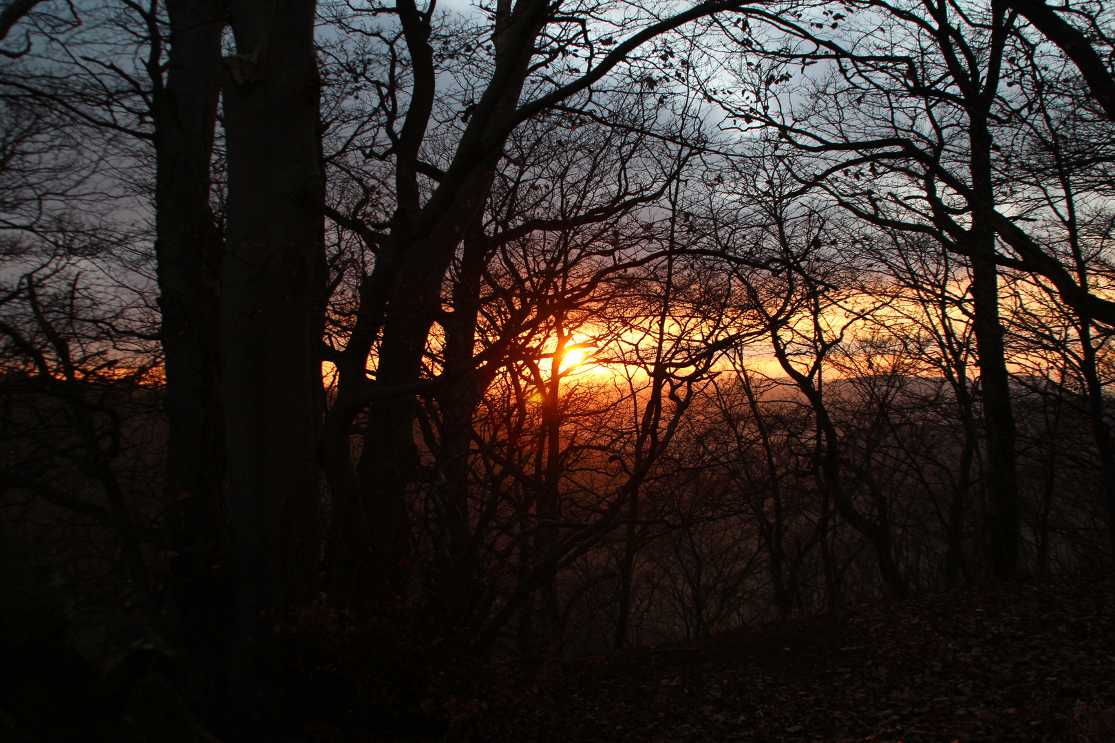 Mystische Abendstimmung