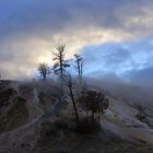 Mystische Abendstimmung im Yellowstone National Park