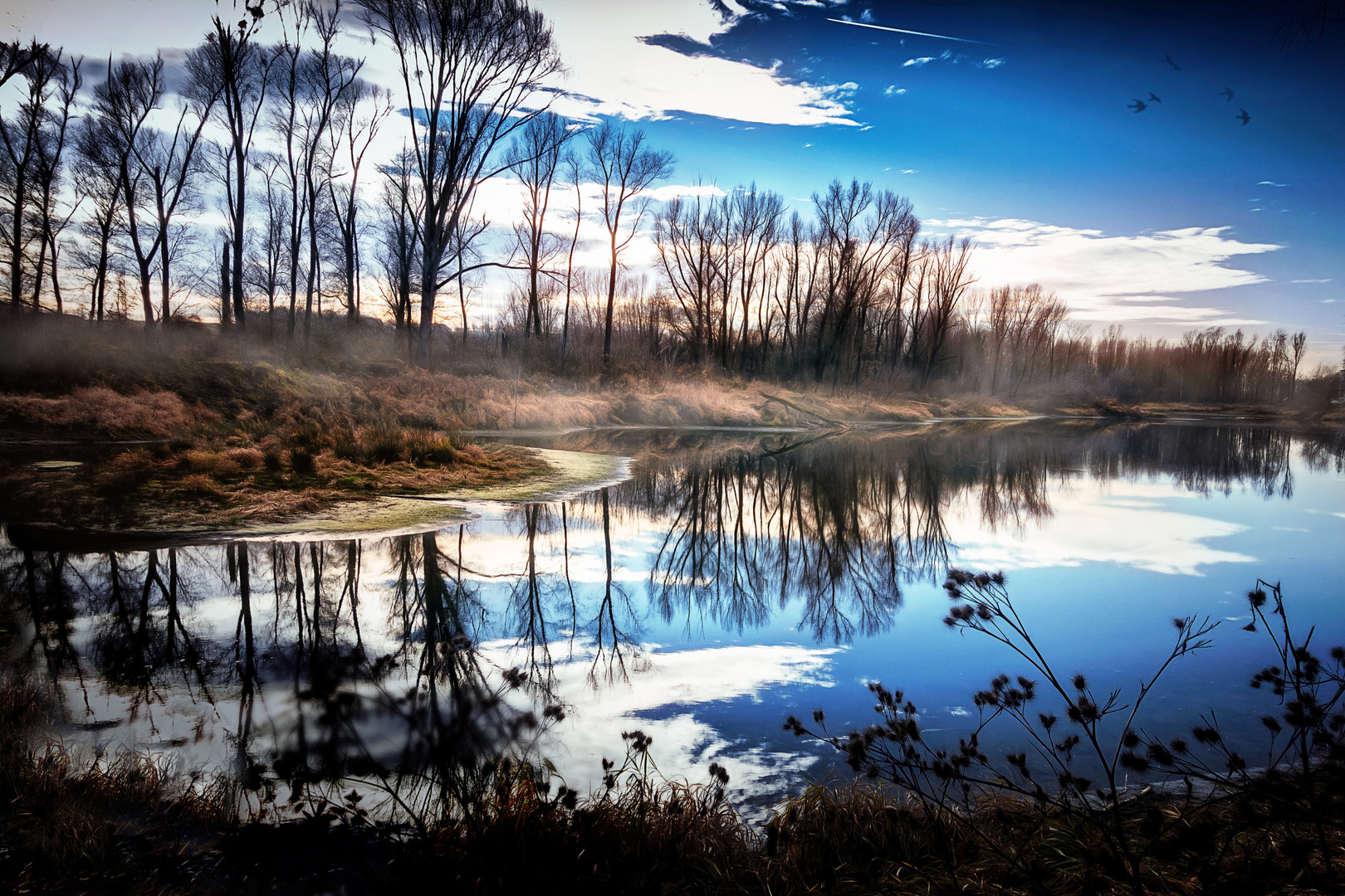 Mystische Donauau bei Grein