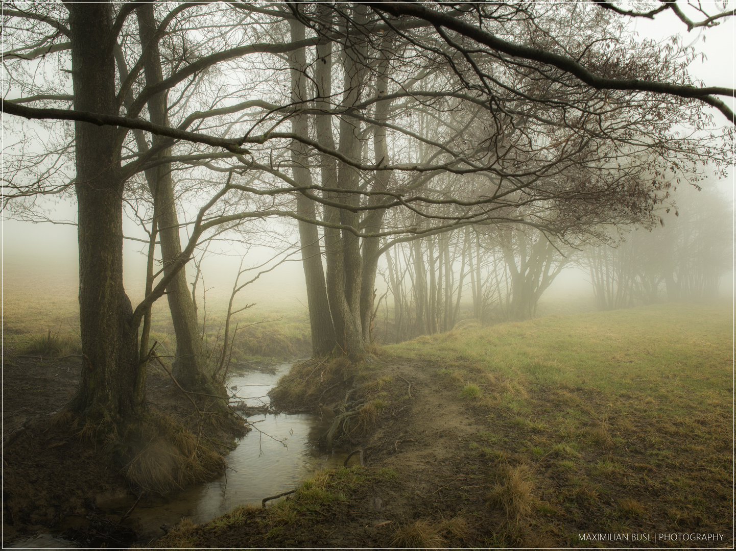 Mystische Flußlandschaft