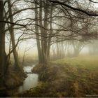 Mystische Flußlandschaft