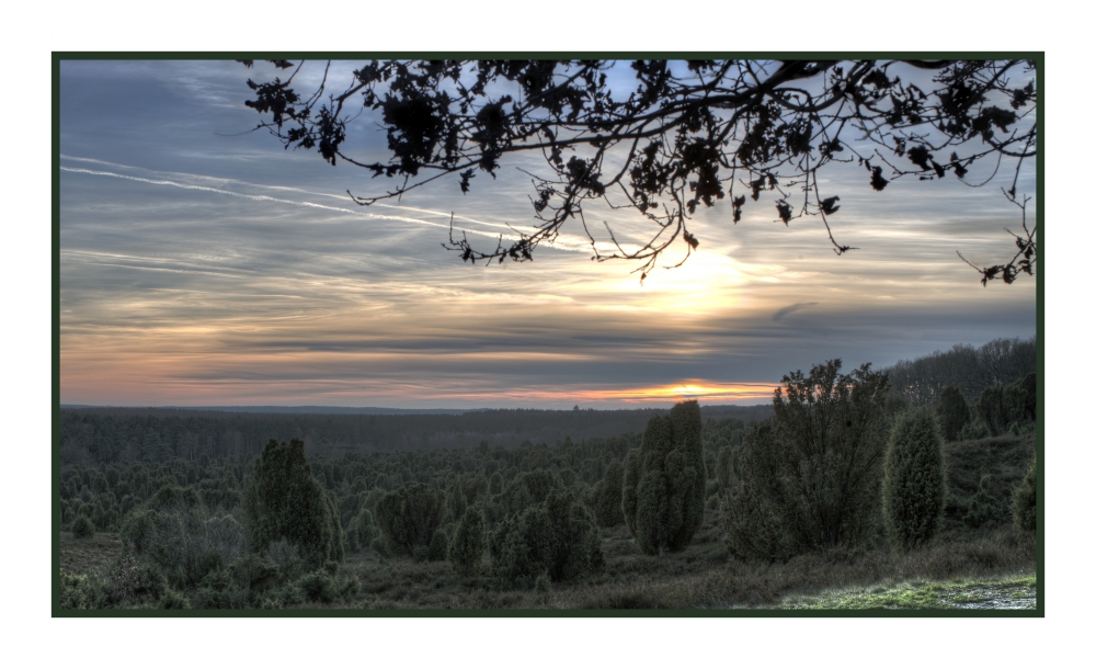 Mystische Heide - Kalendertitel