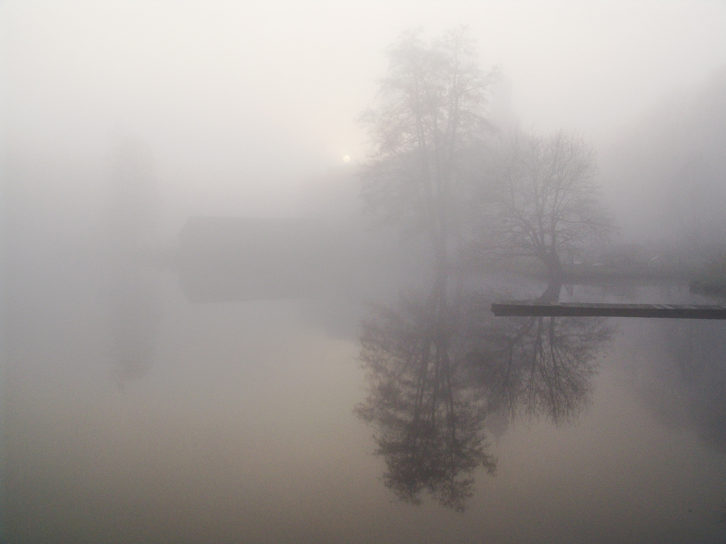 Mystische Herbst-Nebel