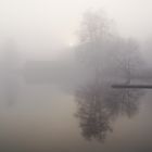 Mystische Herbst-Nebel