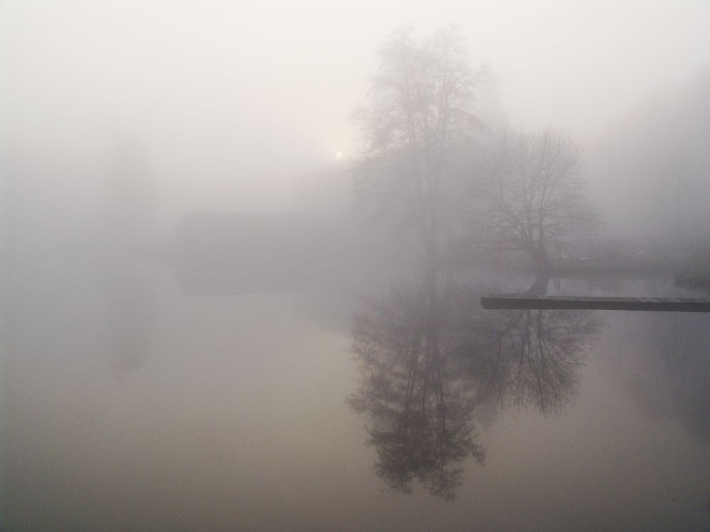 Mystische Herbst-Nebel von hhoff 