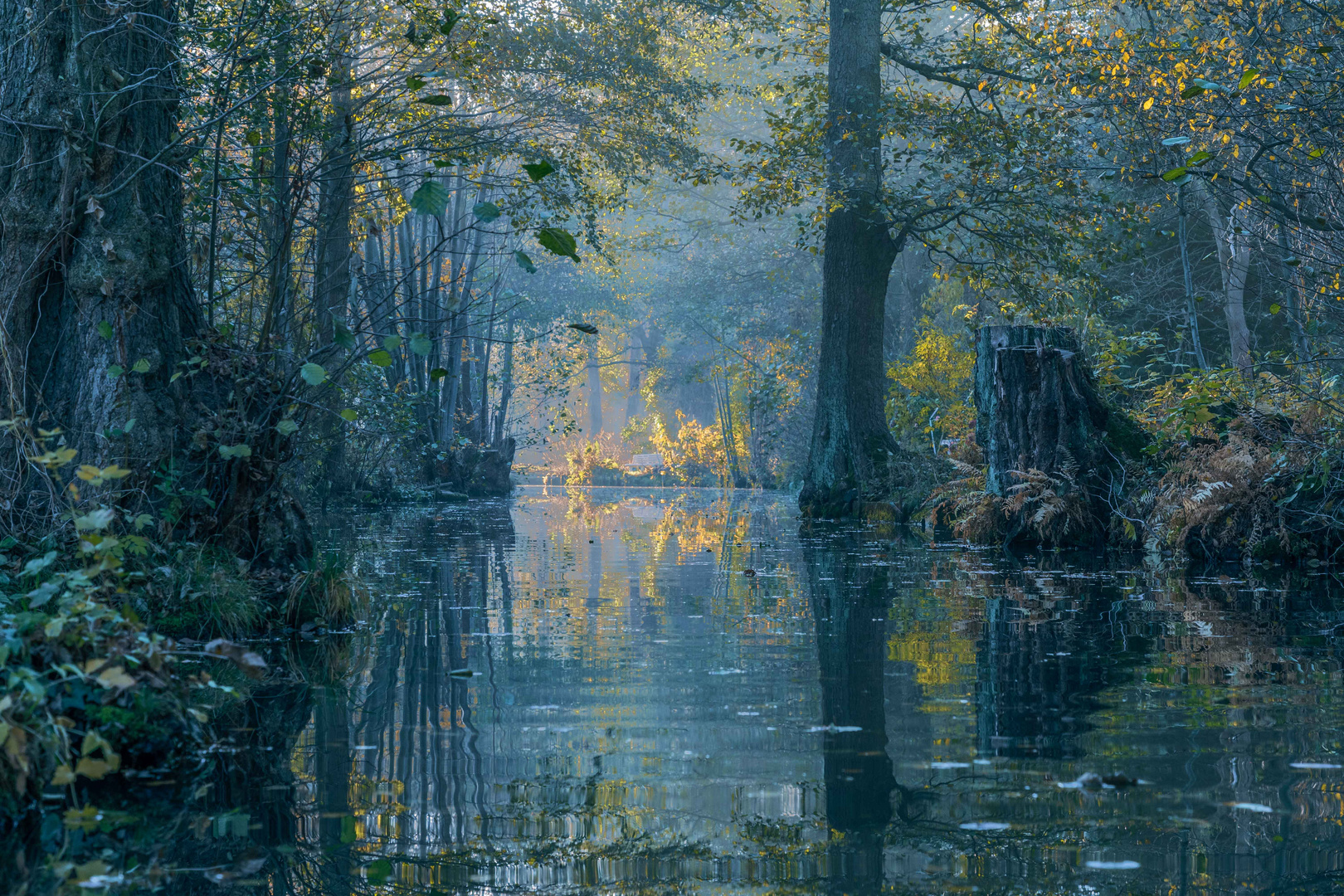 mystische Herbststimmung