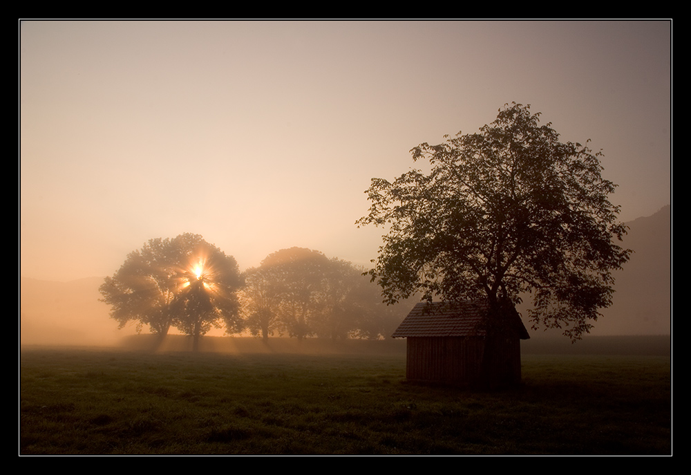 Mystische Herbststimmung II.