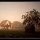 Mystische Herbststimmung II.