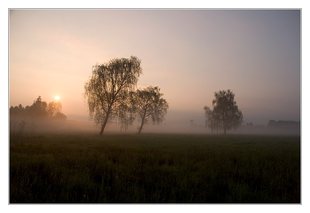 Mystische Herbststimmung III.