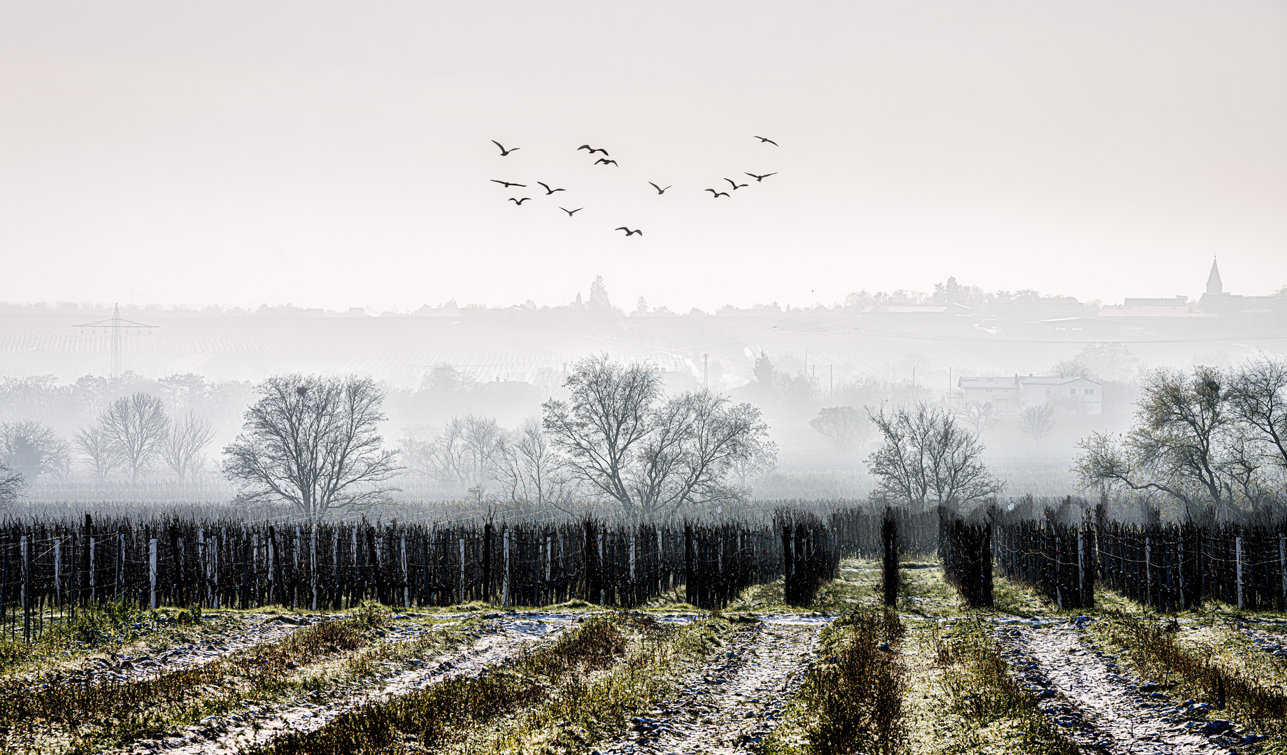 Mystische Landschaft