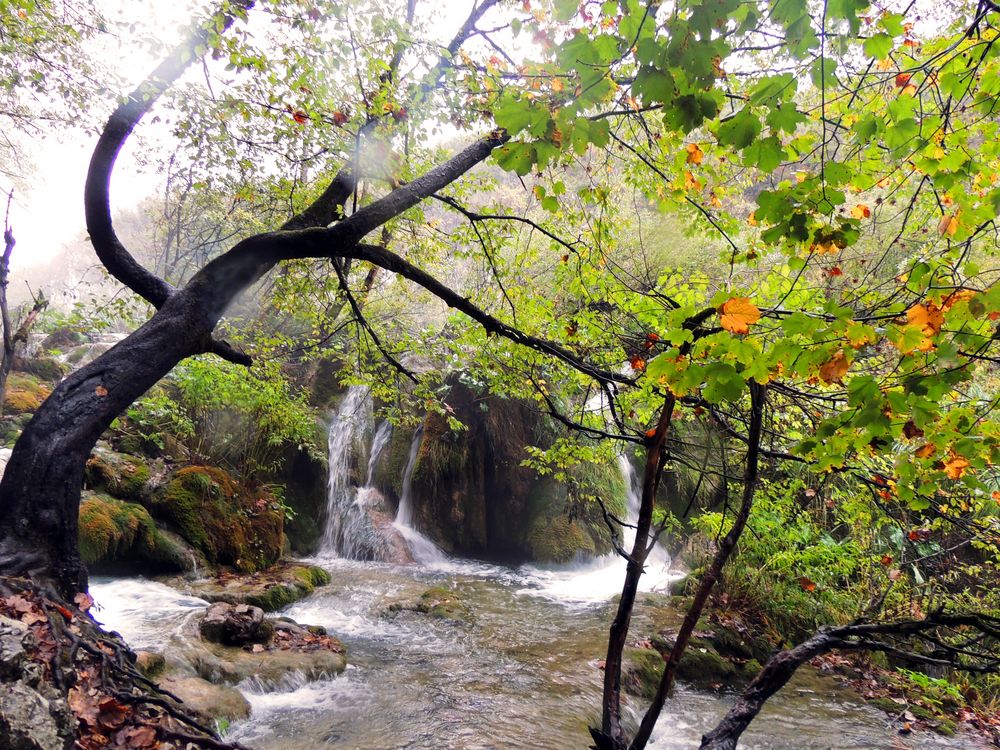 mystische Landschaft von Ulrike B