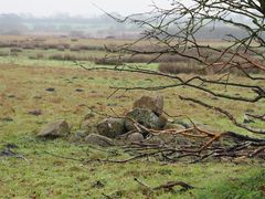 Mystische Landschaft im Januar