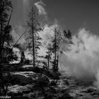 Mystische Landschaft im Yellowstone Nationalpark