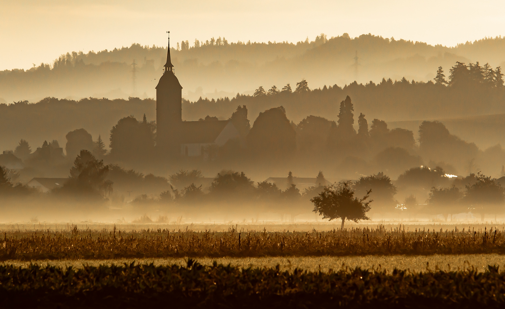 Mystische Nebellandschaft