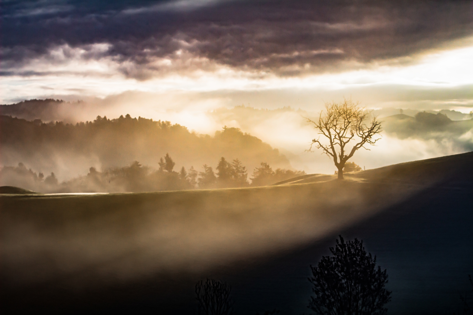 Mystische Nebellandschaft