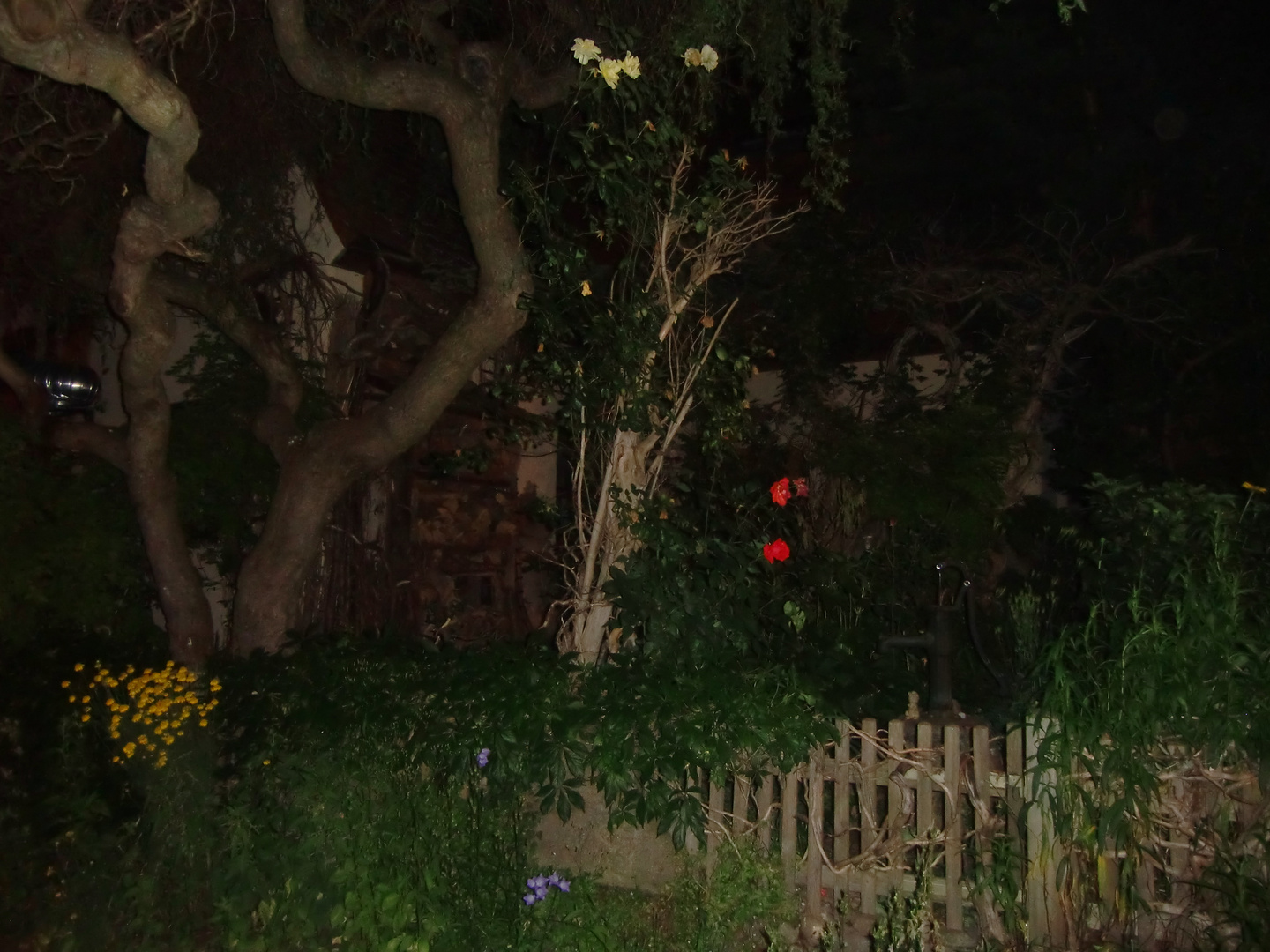 Mystische Orte Verwunschen Foto Bild The Dark Side Baume