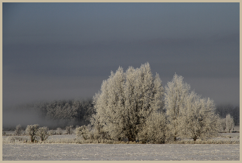 mystische Schneelandschaft