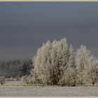 mystische Schneelandschaft