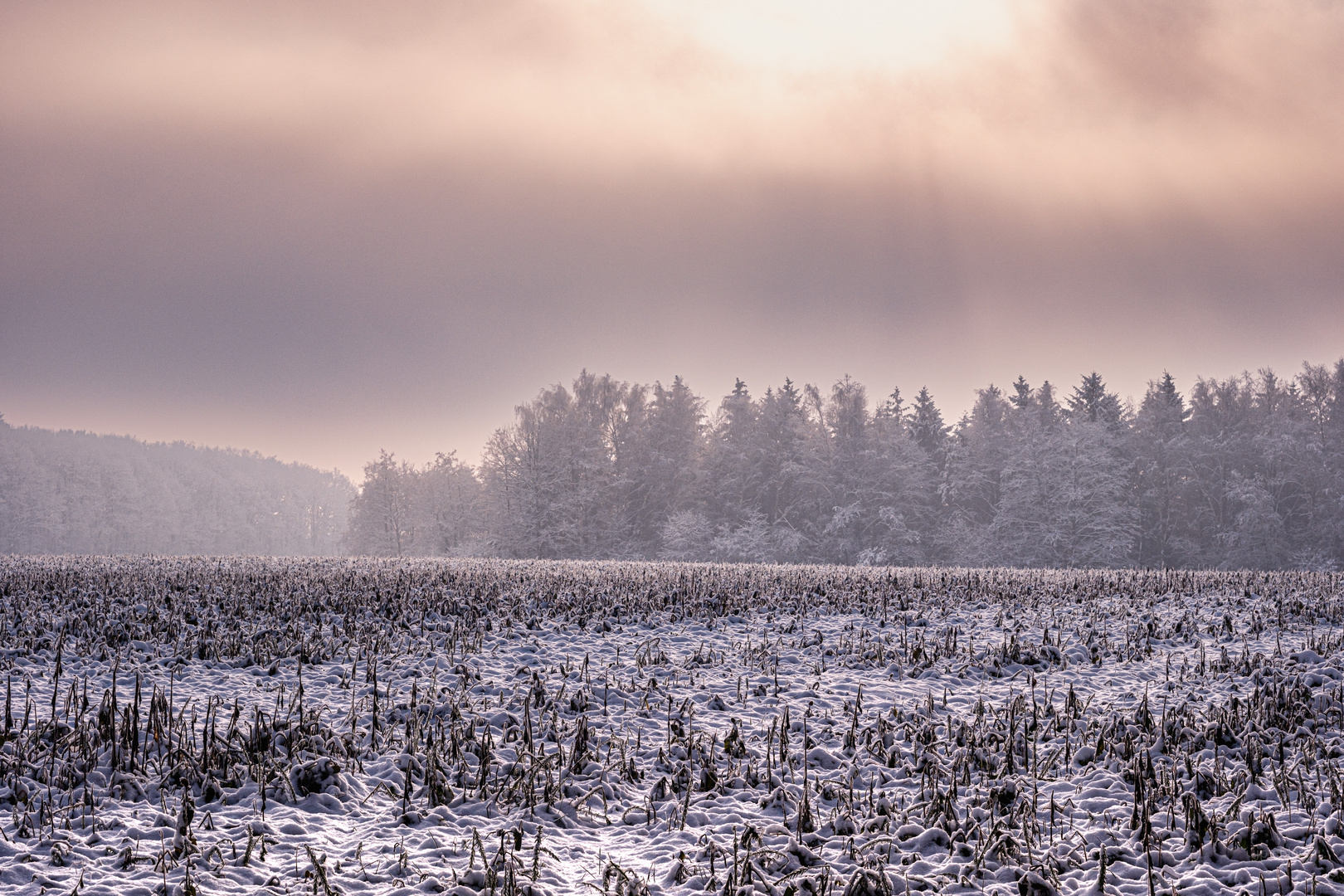 Mystische Schneelandschaft