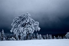 mystische Schneelandschaft