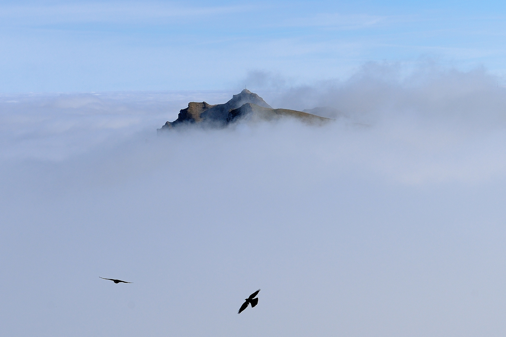 Mystische Stimmung am Hochgrat im Allgäu