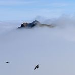 Mystische Stimmung am Hochgrat im Allgäu